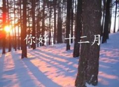 抓住2016年的尾巴給自己充充電！12月，加油！